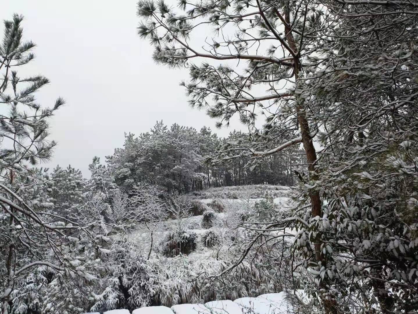 2021年英山的第一场雪