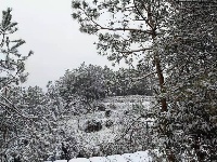2021年英山的第一场雪