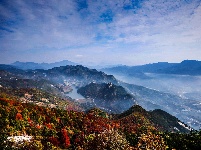 康养旅居