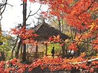 康养旅居
