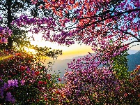 康养旅居