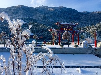 康养旅居