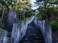 康养旅居