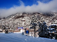康养旅居