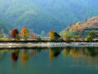 康养旅居