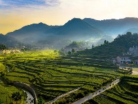 魅力茶乡