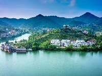 魅力茶乡