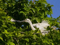人文风情