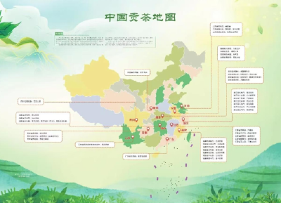 【强县工程在英山】一杯好茶的“高光之旅”