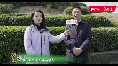 【印象英山·遇见毕昇】央广网在我县进行联动直播 推介英山云雾茶