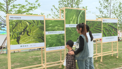 【视频】镜头下的茶园秘境 “醉”美茶园摄影作品展览带你“云游”茶乡