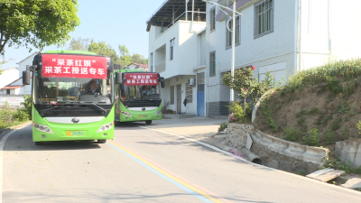 【强县工程在英山】县人社局：“采茶红娘”为茶企解忧