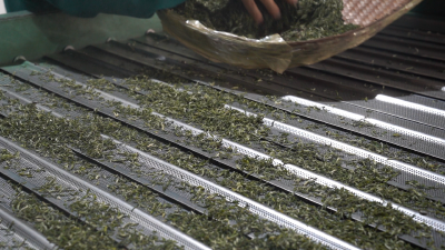 【强县工程在英山】大广茶业：春茶飘香 产销两旺