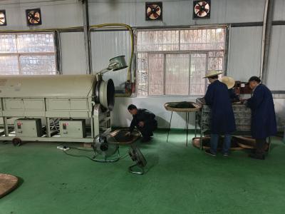 县长冲茶场制作忙