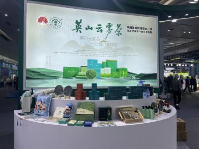意向订单超百万 英山云雾茶在健博会上火热出圈